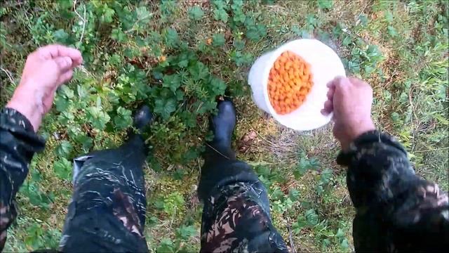 За морошкой смотреть онлайн