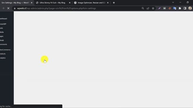 Sirv Wordpress Plugin | Best Free Image CDN for Wordpress Website смотреть онлайн