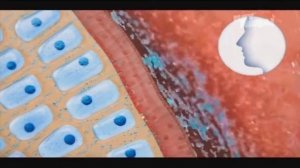 (2015) Аквалор форте - Законы физики против насморка