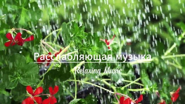 Позвольте себе погрузиться в успокаивающий звук дождя, и пусть он заберет все ваши заботы. смотреть онлайн