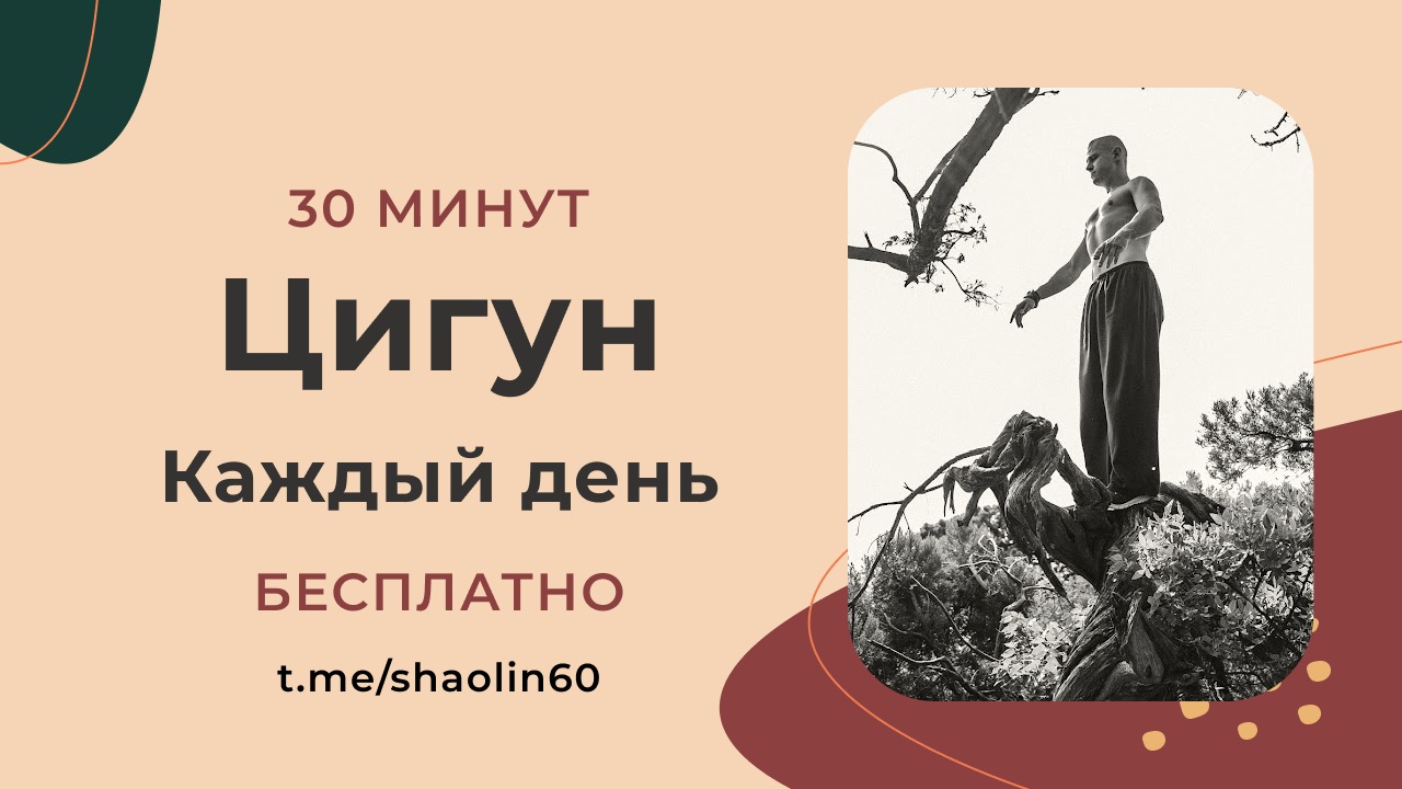 Цигун: Каждый день вместе пока не кончится агрессия