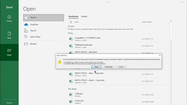 ซ่อมแซมไฟล์เอ็กเซล [ Excel_SHOT_EP.11 ] смотреть онлайн