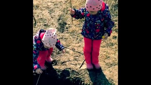 Пермь.Гайва.История нашей жизни. День на самоизоляции. смотреть онлайн