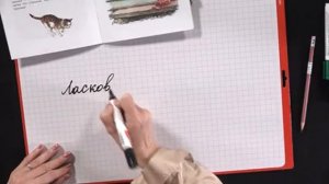 Как списать текст без ошибок. Навык списывания.