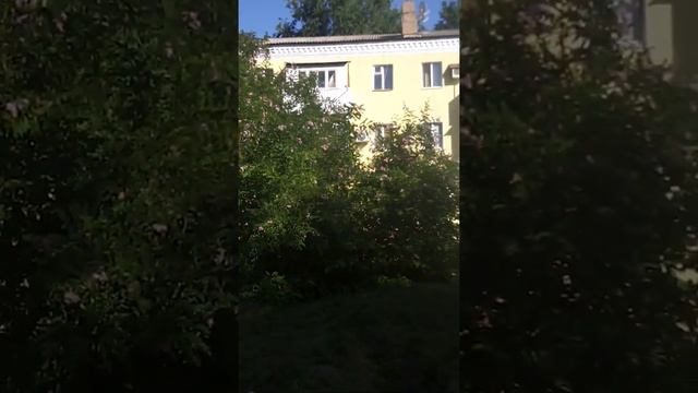 Розовая акация ? смотреть онлайн