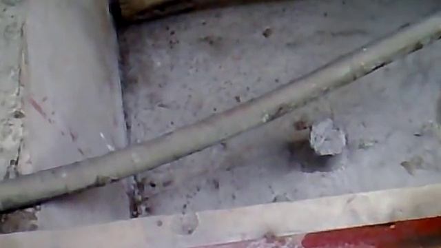 python eats rabbit смотреть онлайн