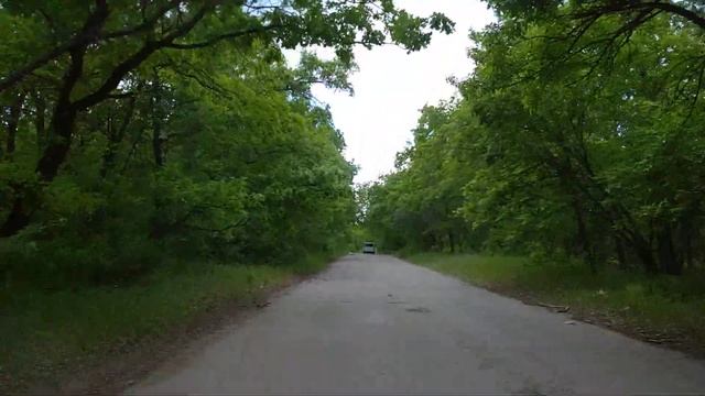 Луганск 2020 Восток-Камброд