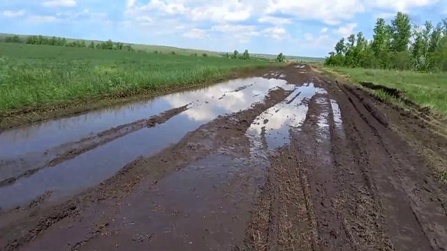Бизнес на сосновой шишке в 2021. Готовлюсь к сбору. Принимаю заказы