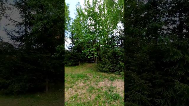 Продаю дом в Ленинградской области смотреть онлайн
