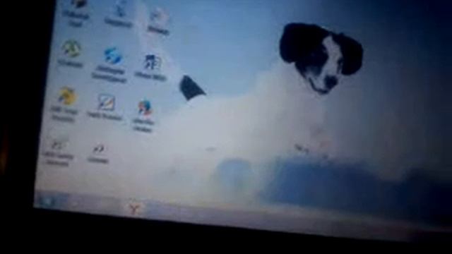 Как распечатать распечатки смотреть онлайн
