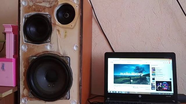 30гдс ВЧ и пассивный излучатель (Вега 25ас 109) смотреть онлайн