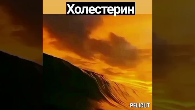 ?Матрица Гаряева от холестериновых бляшек в сосудах. смотреть онлайн