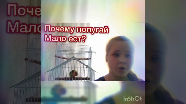 5 ответов на частозадаваемые вопросы новичков.