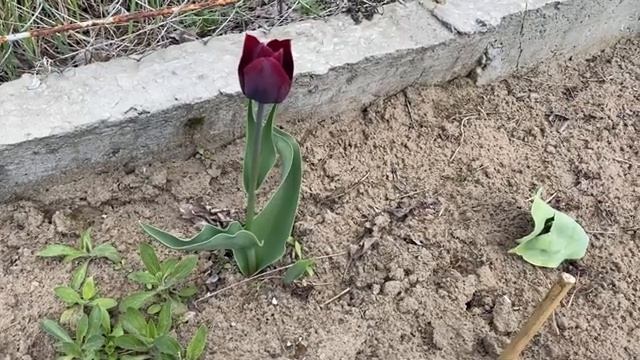 Установка и уход за каркасным бассейном. Средства для чистки мебели из магазина светофор. смотреть онлайн
