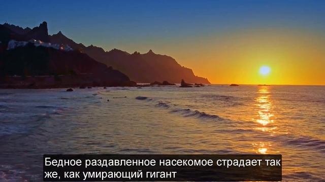 Гениальные цитаты Уильяма Шекспира, от которых замирает Сердце. Мудрые высказывания и афоризмы. смотреть онлайн