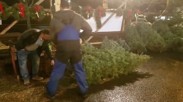 Поехали покупать Ёлку