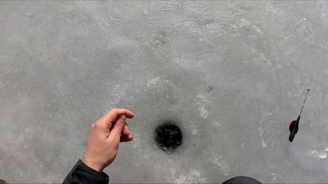 Мормышка без мотыля! Плотва в глухозимье! Последний лед. смотреть онлайн