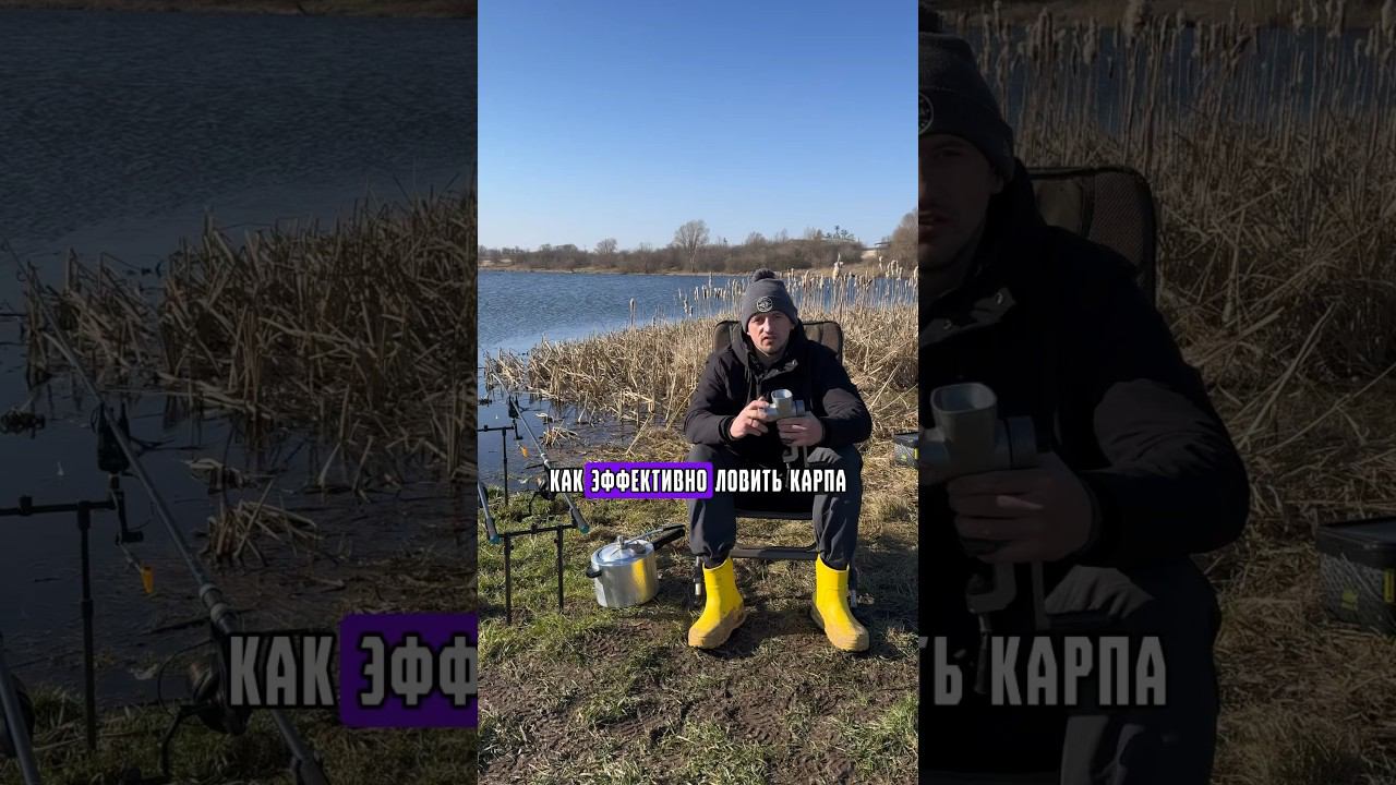 Зерновые на карпа, чем молоть? #карпфишинг смотреть онлайн