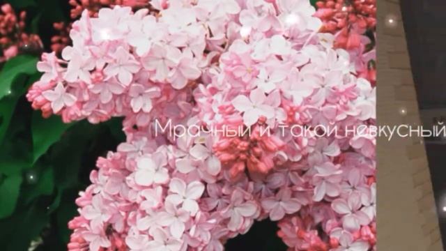 meme Запах сирени ||| by Ava Лиса смотреть онлайн