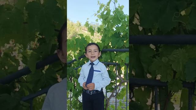 VID_20240611_084529_058