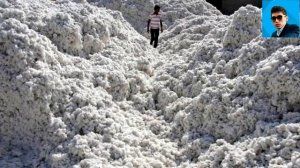 23 интересных факта про Узбекистан. Это не скрывали