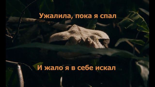 Rammstein - Giftig (Ядовита) На русском языке смотреть онлайн