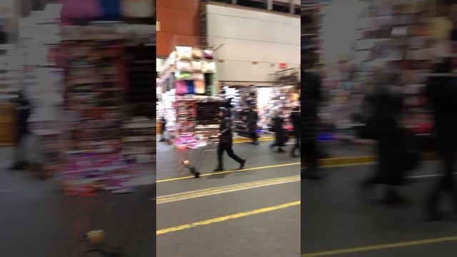 Садовод LIFE! смотреть онлайн