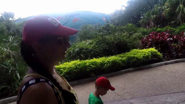 Один день в парке Sea World, Орландо, США