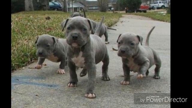 Милые и красивые фотки смотреть онлайн