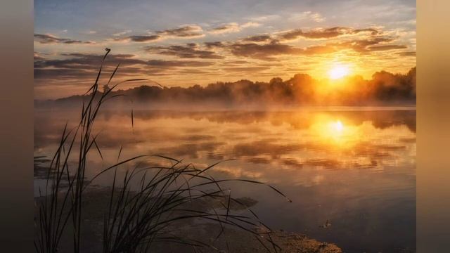 Смиряешься от безысходности ... смотреть онлайн