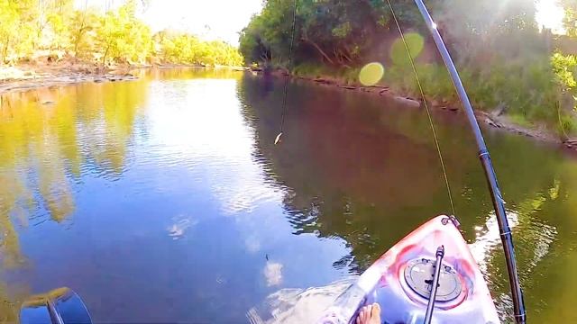 Custom BRAT BOBBER run || BARE FOOT Kayak BASS Fishing ADVENTURE - Big PYTHON Encounter! смотреть онлайн