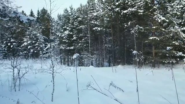 Зима в Сибири. смотреть онлайн