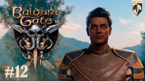 12. #Baldur's Gate 3. Часть 12 «Клеймо Абсолют».