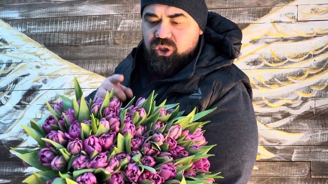 Сорт тюльпана purple sky смотреть онлайн