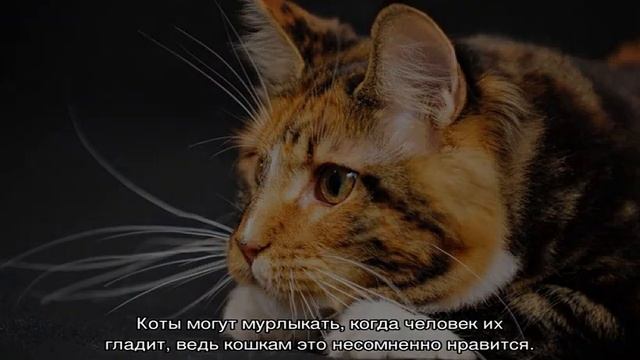 Учим Делать с Ответственностью