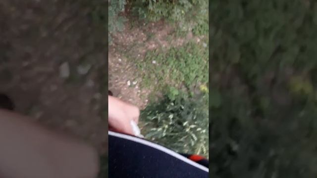 Замена лампы в уличном фонаре смотреть онлайн