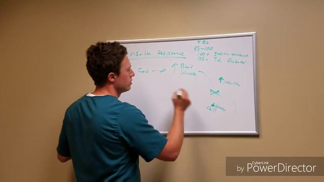 Insulin Resistance with Dr. Scott Beyer смотреть онлайн