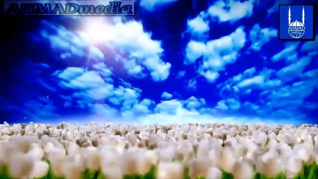 Когда увидишь мусульманку на улице в хиджабе смотреть онлайн