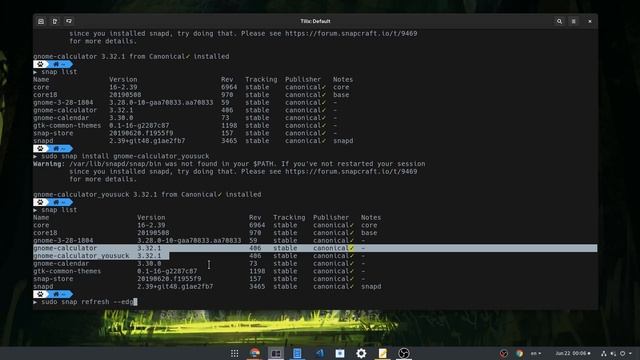 Ubuntu Snap: Initial Support of Parallel Installations смотреть онлайн