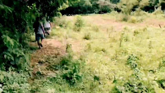 FREE HALAMAN SA GUBAT MGA PLANTITAS AND PLANTITOS #freehalaman смотреть онлайн