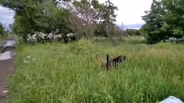 ЕЙСК. ДАЧИ ? Спасибо всем кто помог! Думаю, чем отделать потолок. Ищу б/у стол. Завтра будет цемен смотреть онлайн