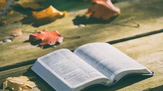 Pradžios Knyga 49 skyrius - audio Biblija смотреть онлайн