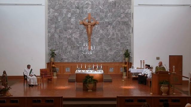 14th Sunday Ordinary Time 7/2/2022 смотреть онлайн