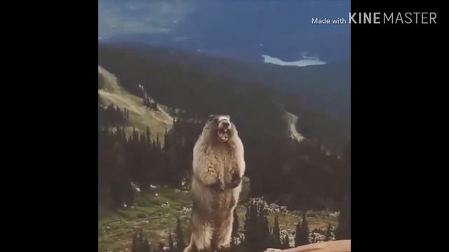 Standoff 2. ОТКРОЙ ДВЕ-ЕРУНДУ!!! смотреть онлайн