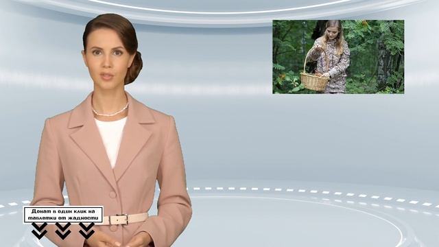 В Подмосковье замечены первые моховики смотреть онлайн