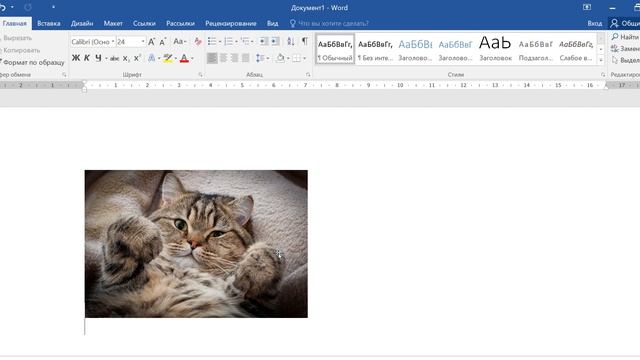 Как на рисунок в ворде наложить текст смотреть онлайн