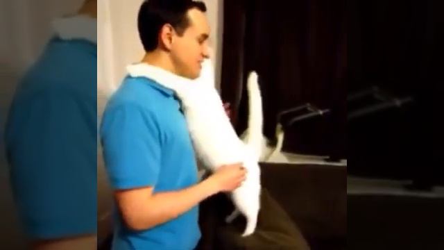 Надо с детства любить животных 🙂 смотреть онлайн