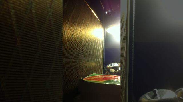 Stratocaster Squier Classic Vibe 50 + Vox AC15C1 смотреть онлайн