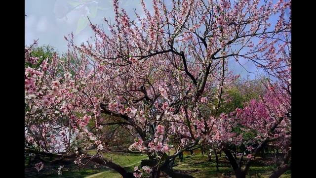 Sylvie Vartan - Holiday