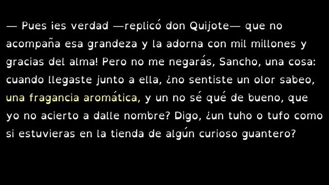 ? Don Quijote Parte 23 Video Audiobook VideoAudioSubtitles